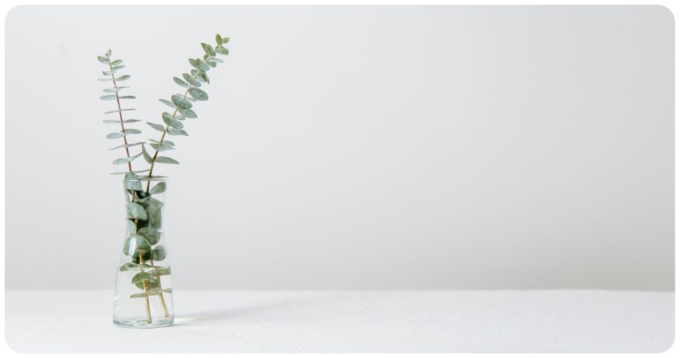 hypnose pour arrêter de fumer prix